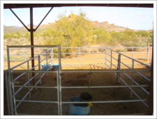 Horse pen with steel rods fencing